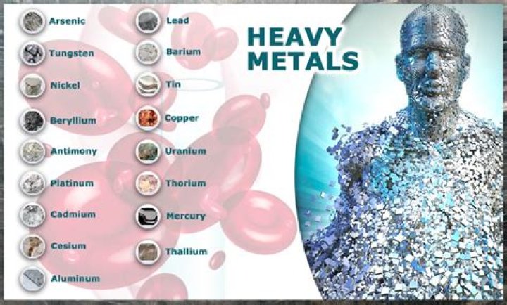 How do I know if I have heavy metals in my body?