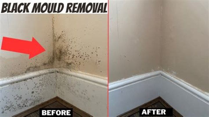 How do I stop mould from coming back on the wall?
